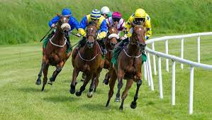 Gambling has 'ad It.