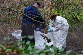 New human remains discovered