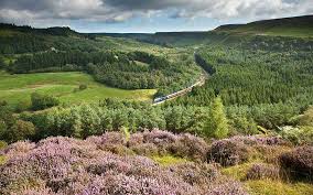 It's grim oop north.