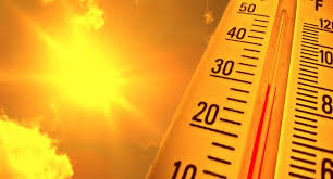 Phew! What a scorcher.