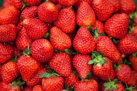 Strawberries for everyone!