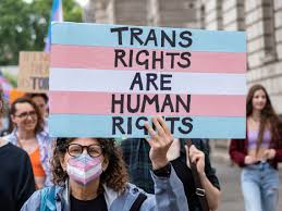 Streeting says Trans activists are putting young people at risk. 