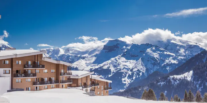 Chase away the winter blues.