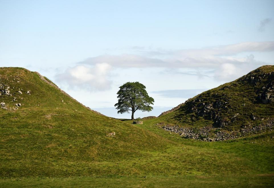 Sycamore Gap tree killers found guilty.