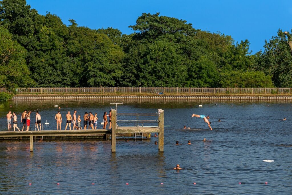 Staff bent over at Hampstead Heath ponds.