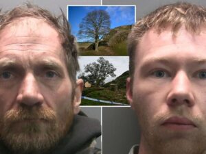 Sycamore Gap tree murderers found guilty.